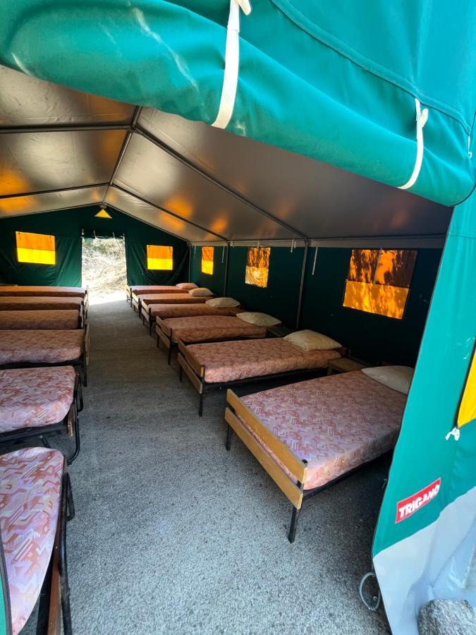 Relais International De La Jeunesse Calvi  Eksteriør bilde
