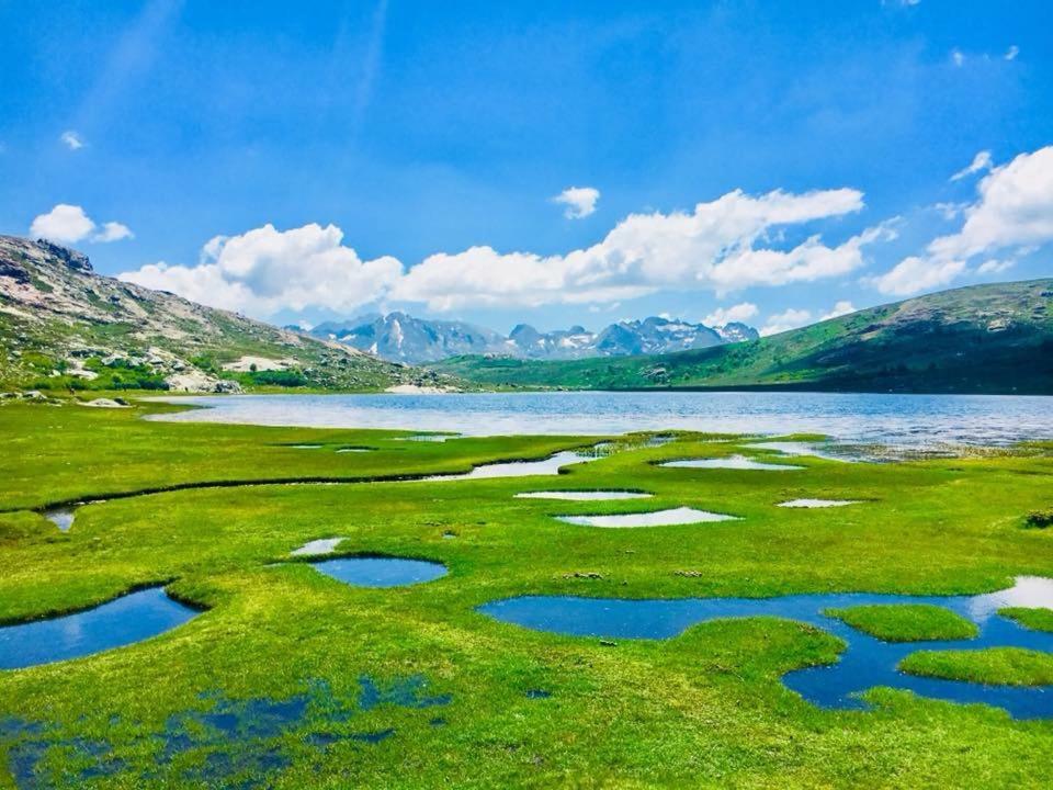 Relais International De La Jeunesse Calvi  Eksteriør bilde